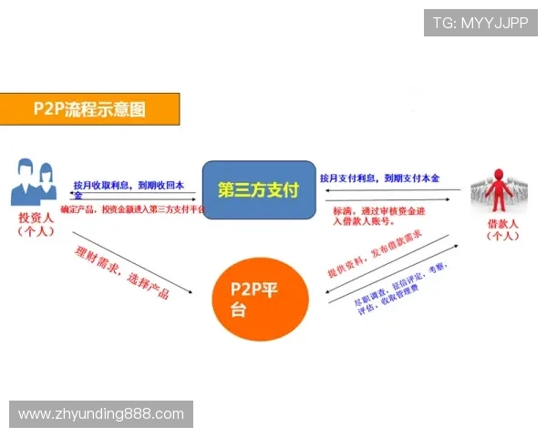 参与马来西亚云顶一号项目的投资者应了解的风险与机遇分析
