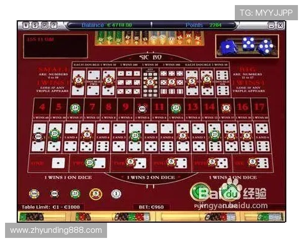 理解骰宝游戏规则的关键点及实用技巧提升你的赢钱几率