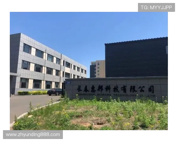 香港云顶国际有限公司全面解析其企业背景与发展战略，助你深入了解行业领军企业的核心竞争力